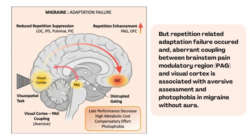 Migrenli Beyin Neden Işığa Duyarlı? NÖROM Araştırması Görsel Uyaranların Ağrıya Nasıl Dönüştüğünü Ortaya Koydu